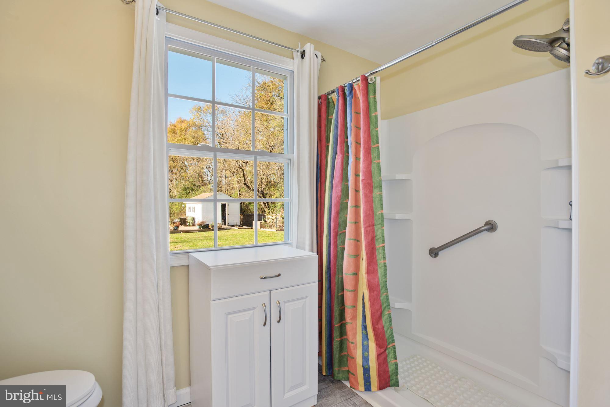 2950 Atoka Road Marshall, VA 20115 - Photo 20 of 29 Bath with walk in Shower