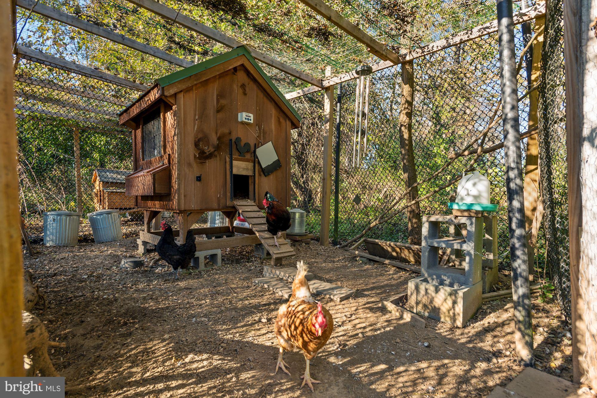 2950 Atoka Road Marshall, VA 20115 - Photo 25 of 29 Chicken coop with hen house (can convey)