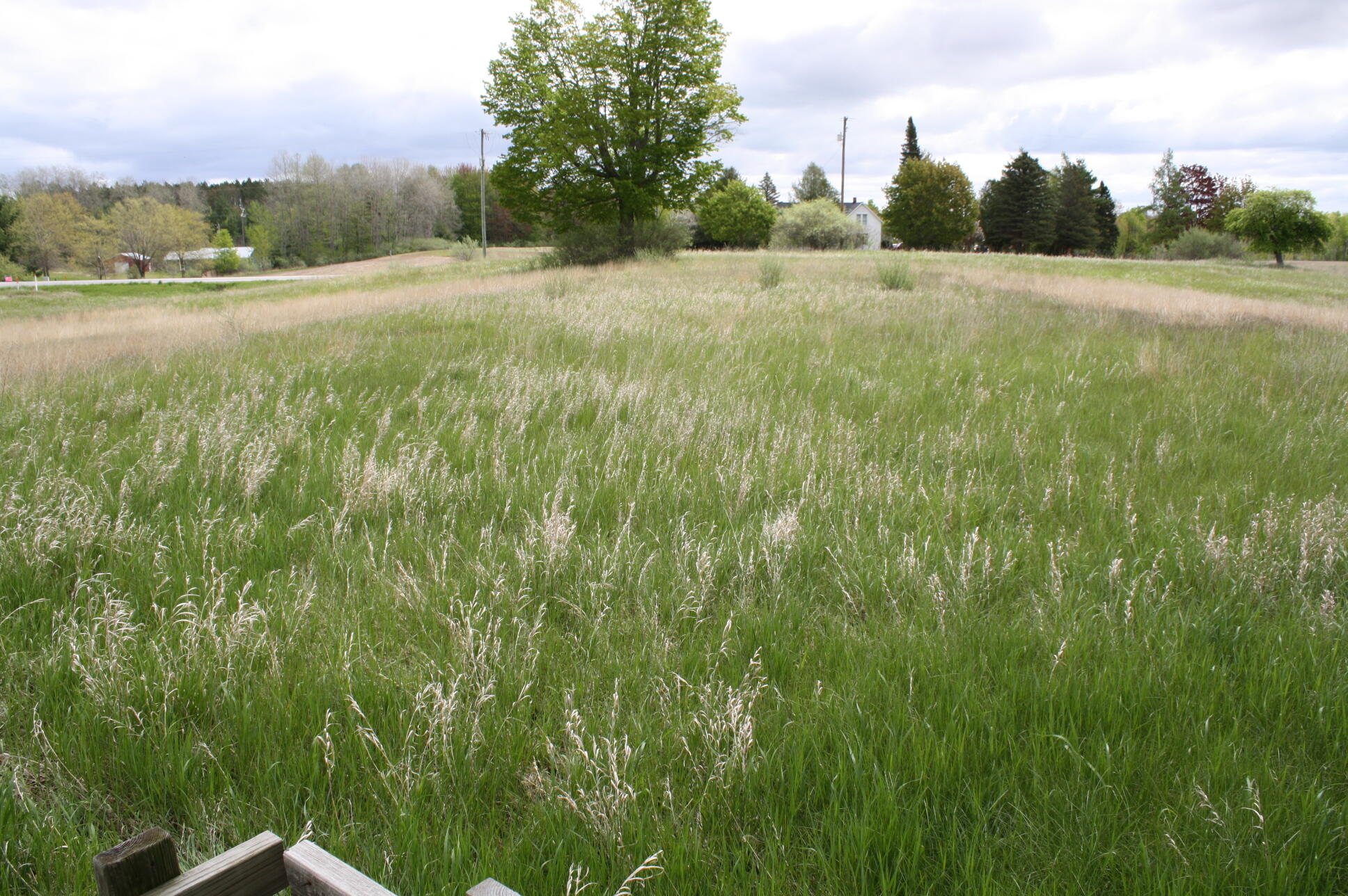 Goddard Road Mikado, MI 48745 - Photo 1 of 7 Gallery Image 1