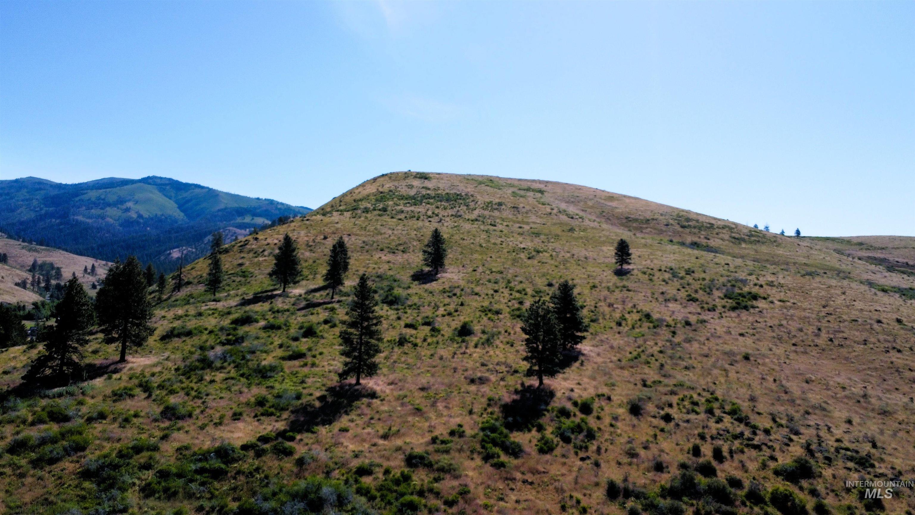 Tbd Advent Gulch Road Cambridge, ID 83610 - Photo 19 of 24