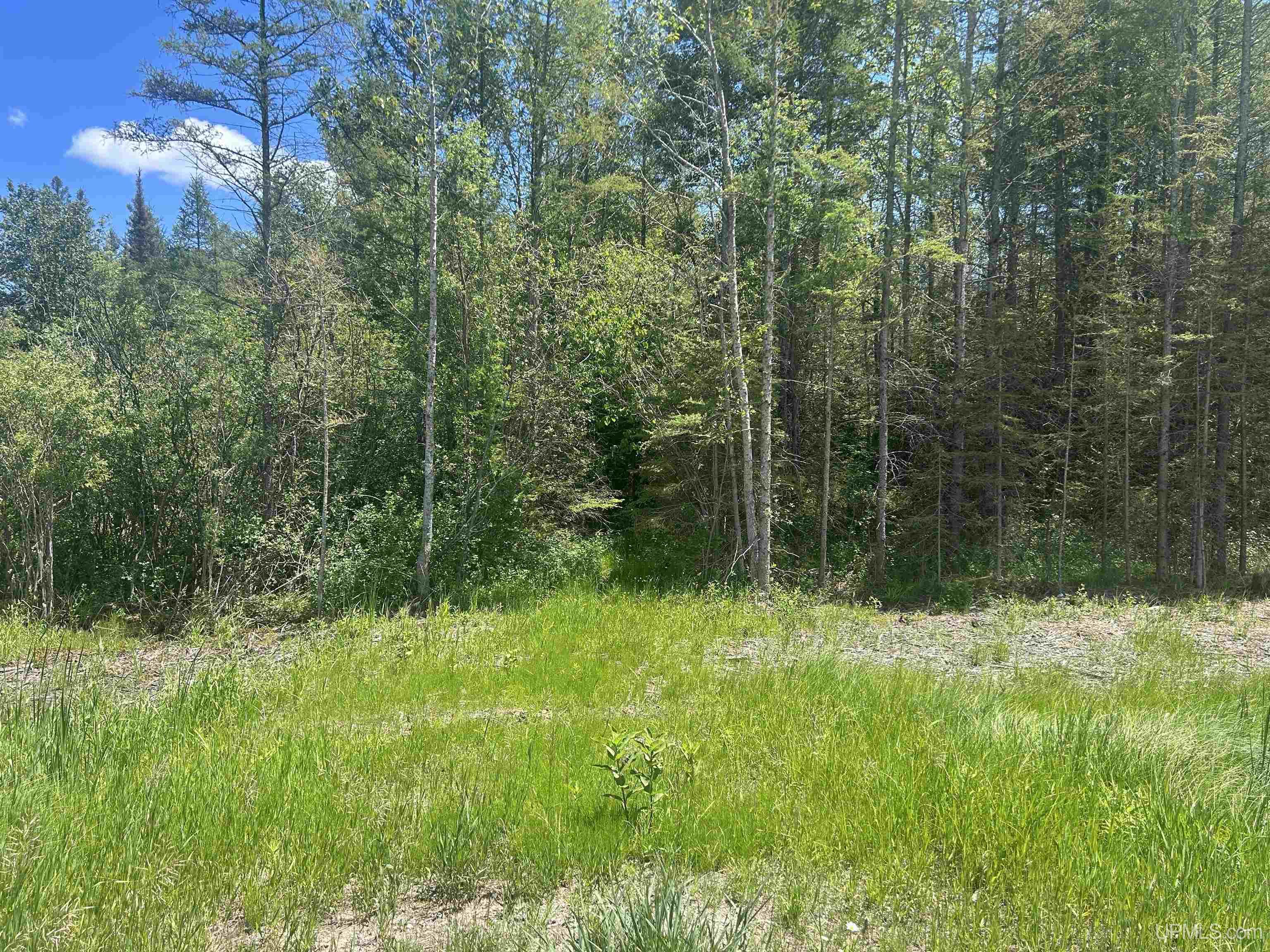 Tbd L Road Escanaba, MI 49829 - Photo 1 of 2