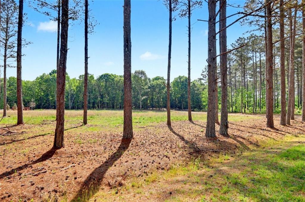 1110 Locklin Road Monroe, GA 30655 - Photo 5 of 14 a view of a yard with a tree