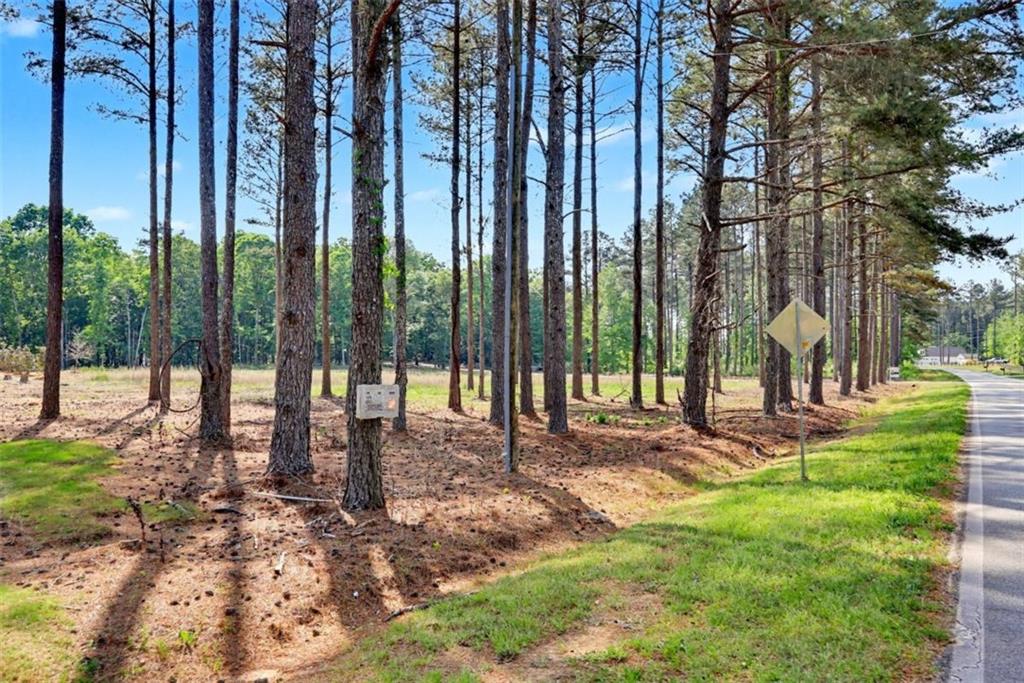 1110 Locklin Road Monroe, GA 30655 - Photo 6 of 14 a view of a park with a large tree