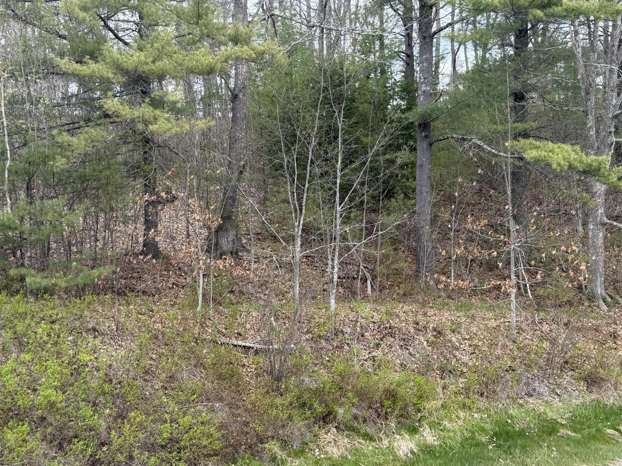 Lot R05129 Polly Clark Brook Wiscasset, ME 04578 - Photo 2 of 4 Lot R05129 Polly Clark Brook, Wiscasset