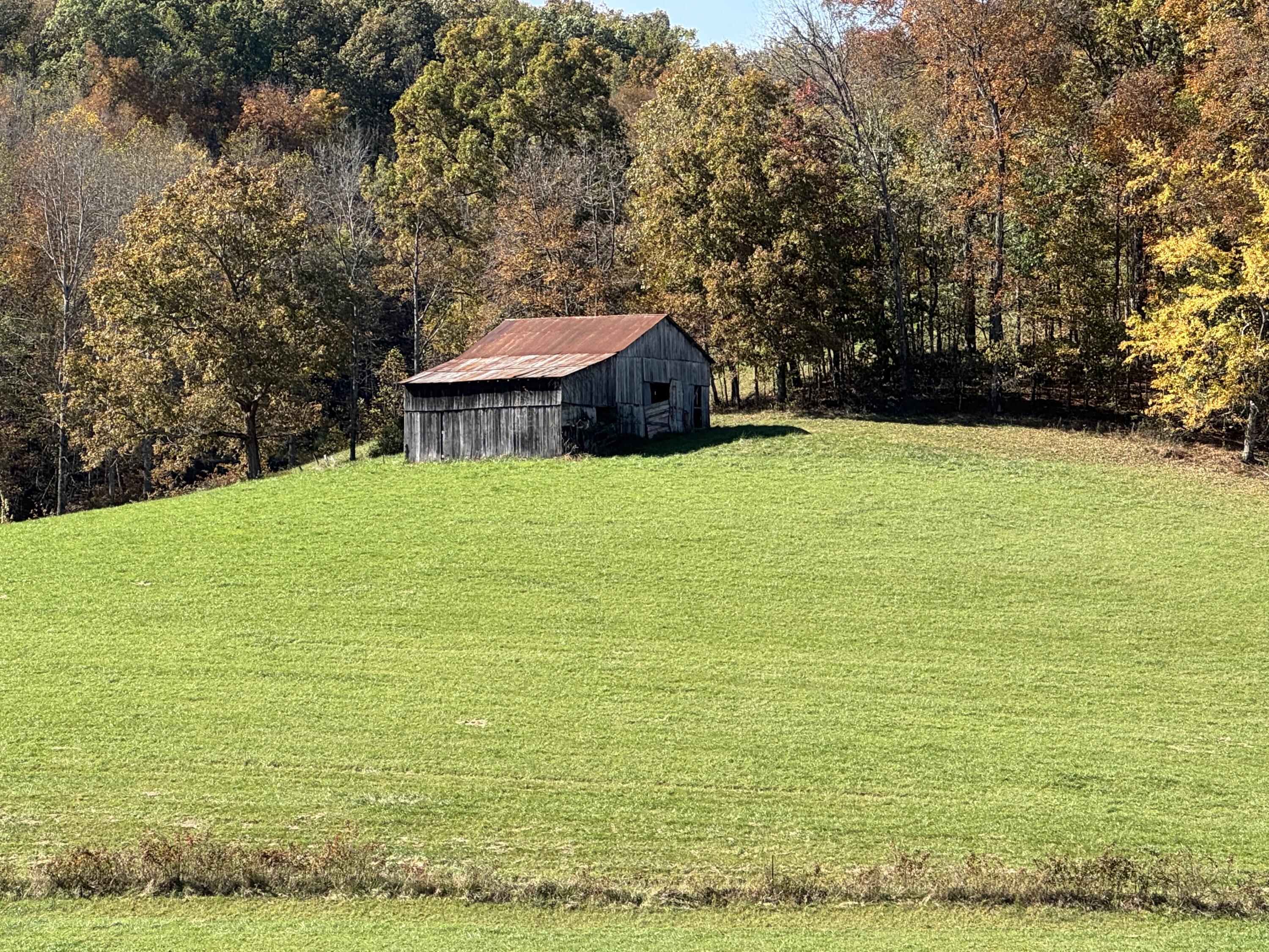 1052 Maulden Branch Road Tyner, KY 40486 - Photo 3 of 22 IMG_6094