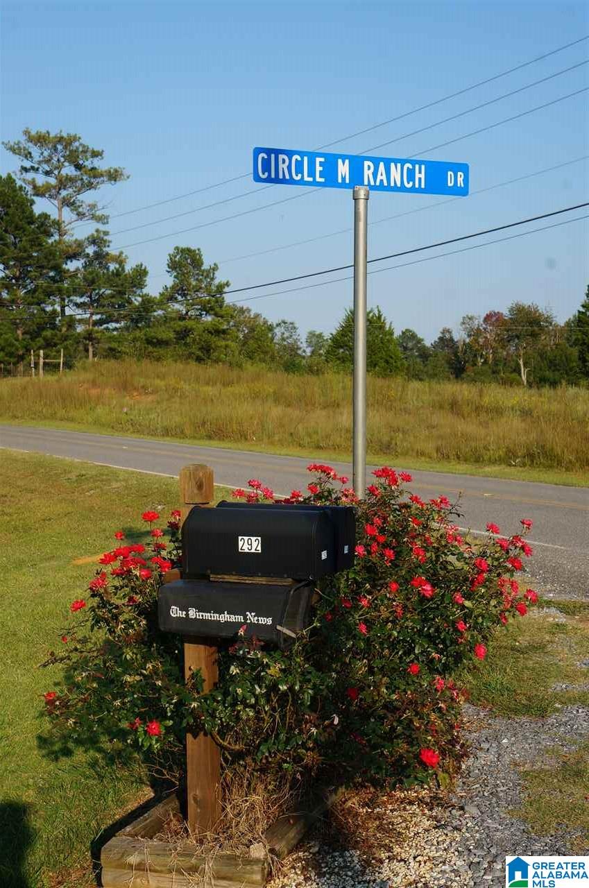 89 Cir M Rnch Drive Sylacauga, AL 35151 - Photo 14 of 50