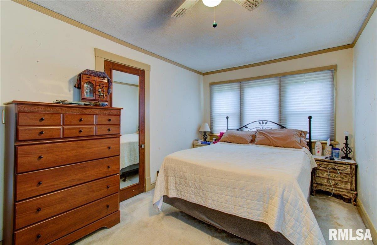 2132 South 4th Street Springfield, IL 62703 - Photo 27 of 43