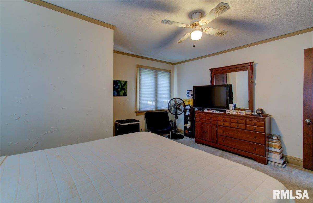 2132 South 4th Street Springfield, IL 62703 - Photo 28 of 43