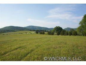 0 Depriest Road Bostic, NC 28018 - Photo 11 of 14