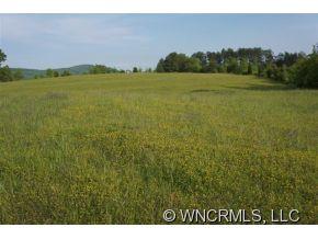 0 Depriest Road Bostic, NC 28018 - Photo 3 of 14