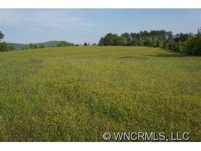 0 Depriest Road Bostic, NC 28018 - Photo 4 of 14