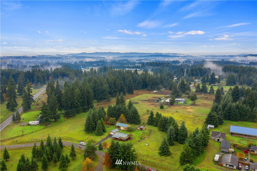 17221 Dodd Lane Southwest Rochester, WA 98579 - Photo 16 of 37 a view of a lake in middle of the town