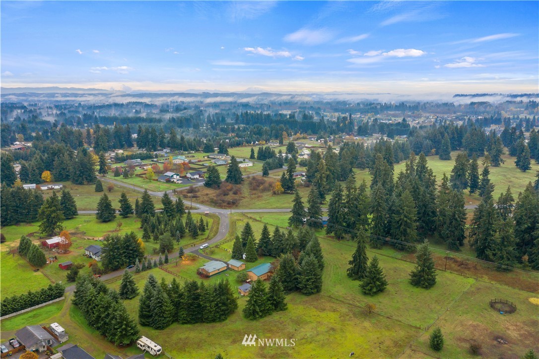 17221 Dodd Lane Southwest Rochester, WA 98579 - Photo 17 of 37 a view of lake