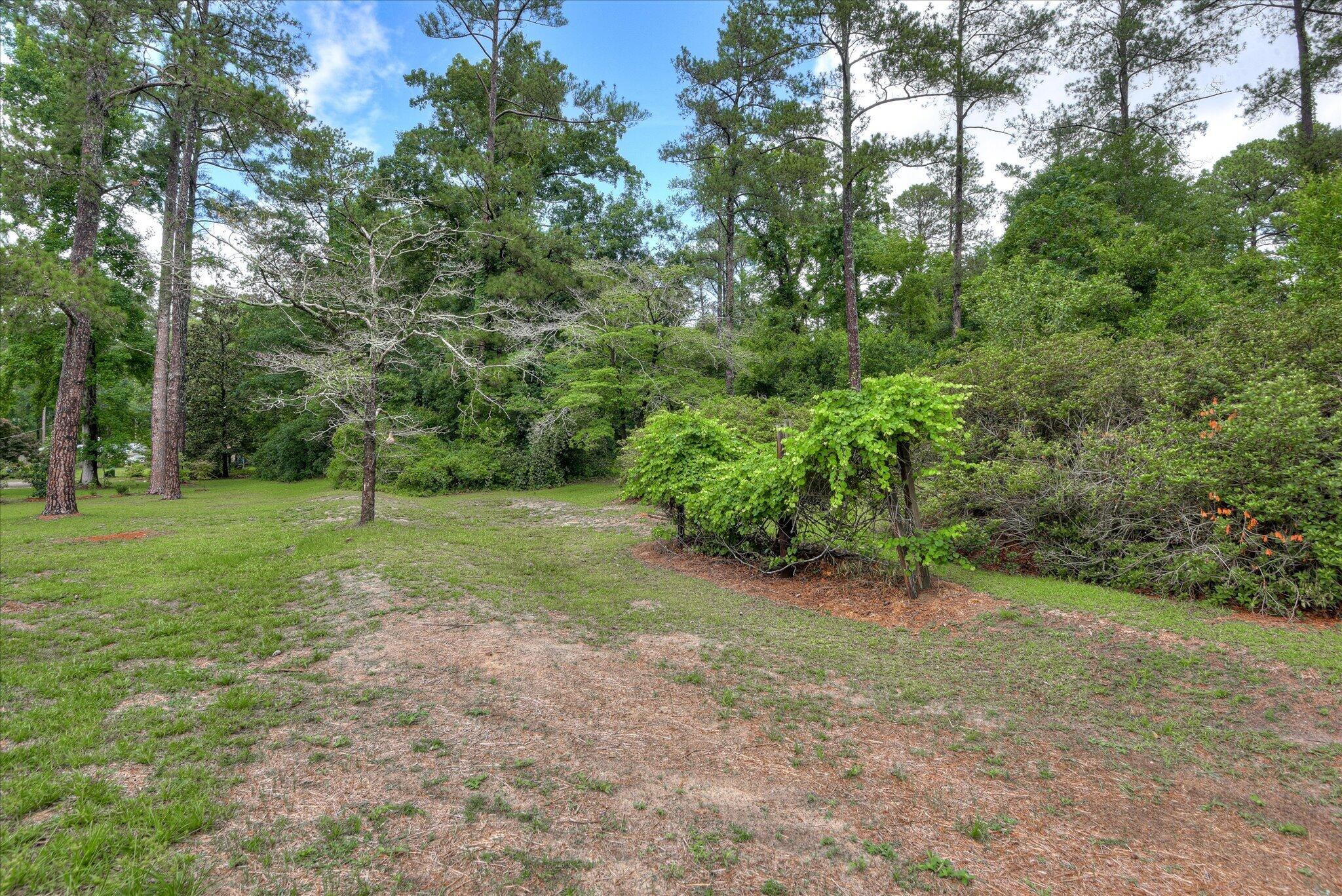 1005 Pinon Road North Augusta, SC 29841 - Photo 49 of 50