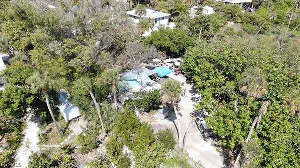 a view of a tree in a garden