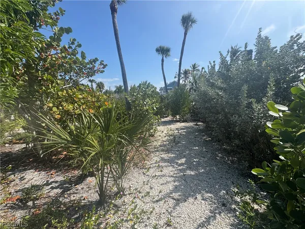 a view of a pathway with a tree