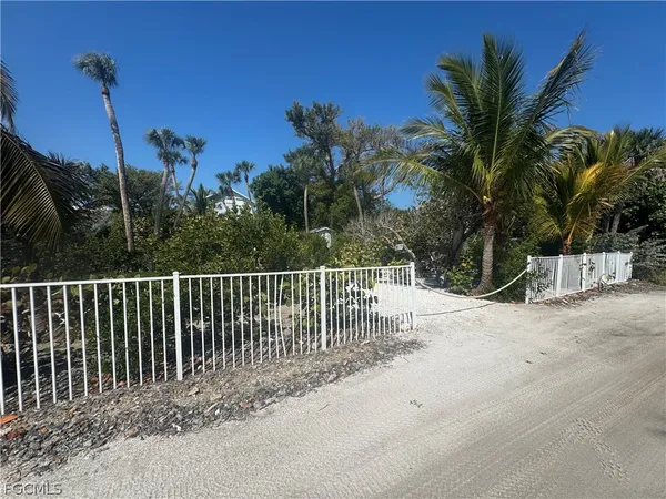 a view of a backyard with a palm tree