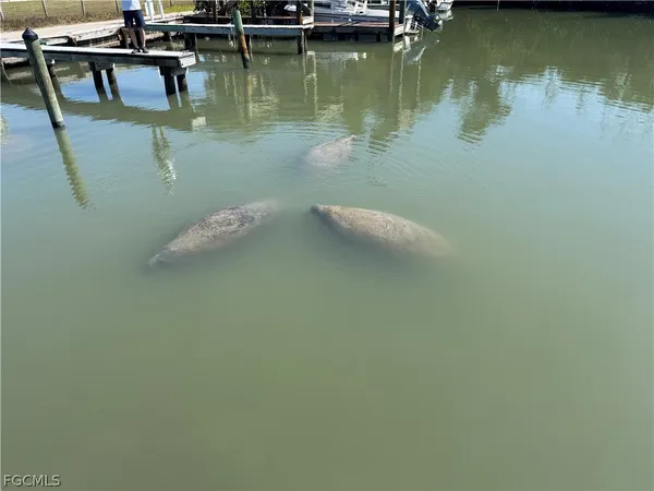 a view of a patio with swimming pool table and chairs