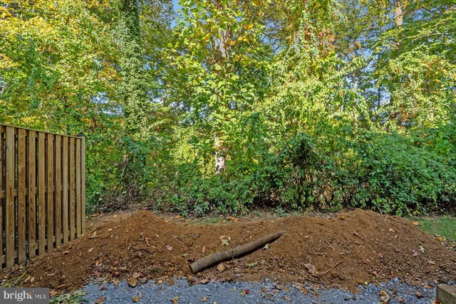 a view of a yard with plants and trees
