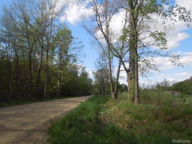 5412 Skelton Road Columbiaville, MI 48421 - Photo 22 of 23 5-13 215.jpg