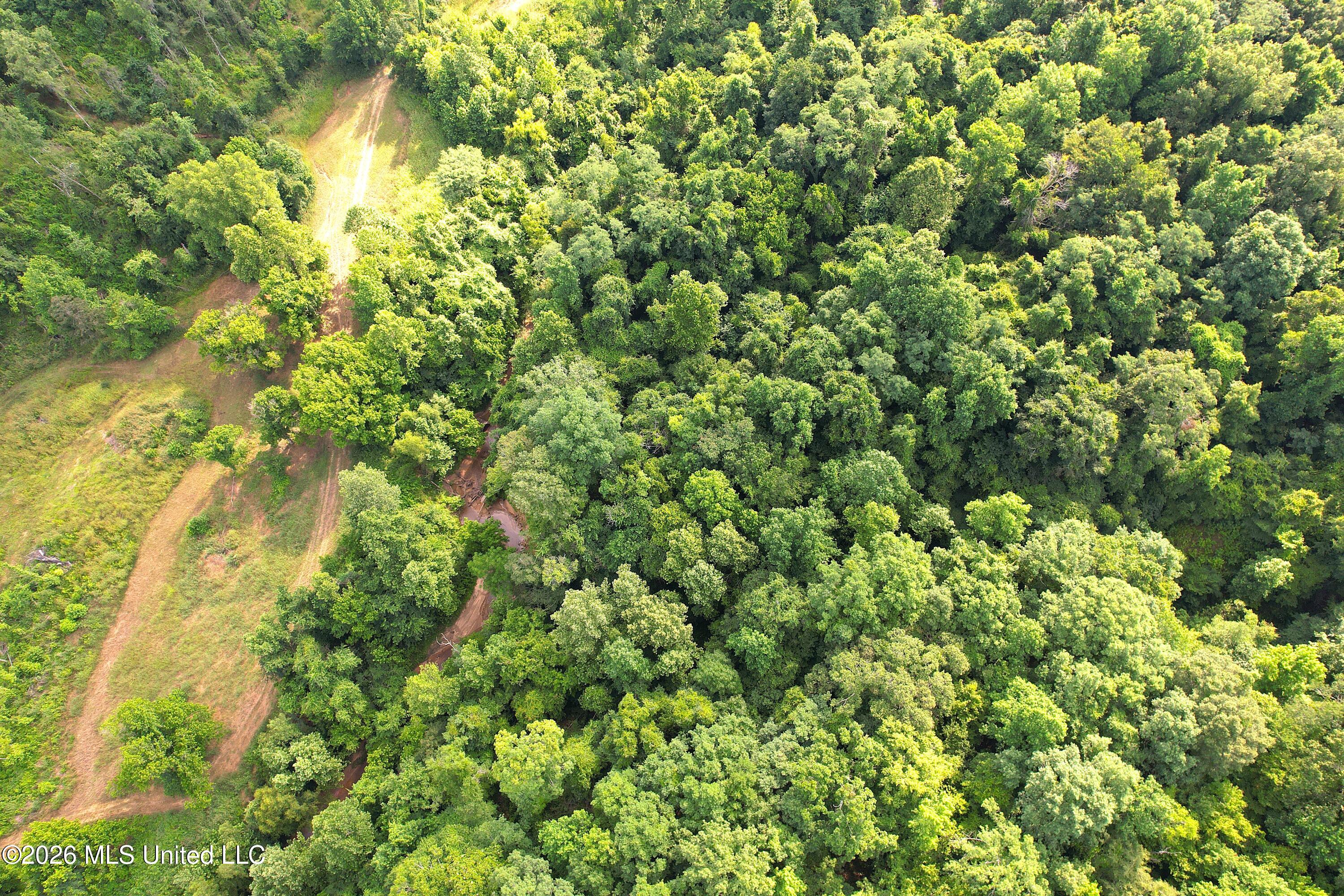 1181 Gowall Road Vicksburg, MS 39183 - Photo 5 of 43 DJI_0584