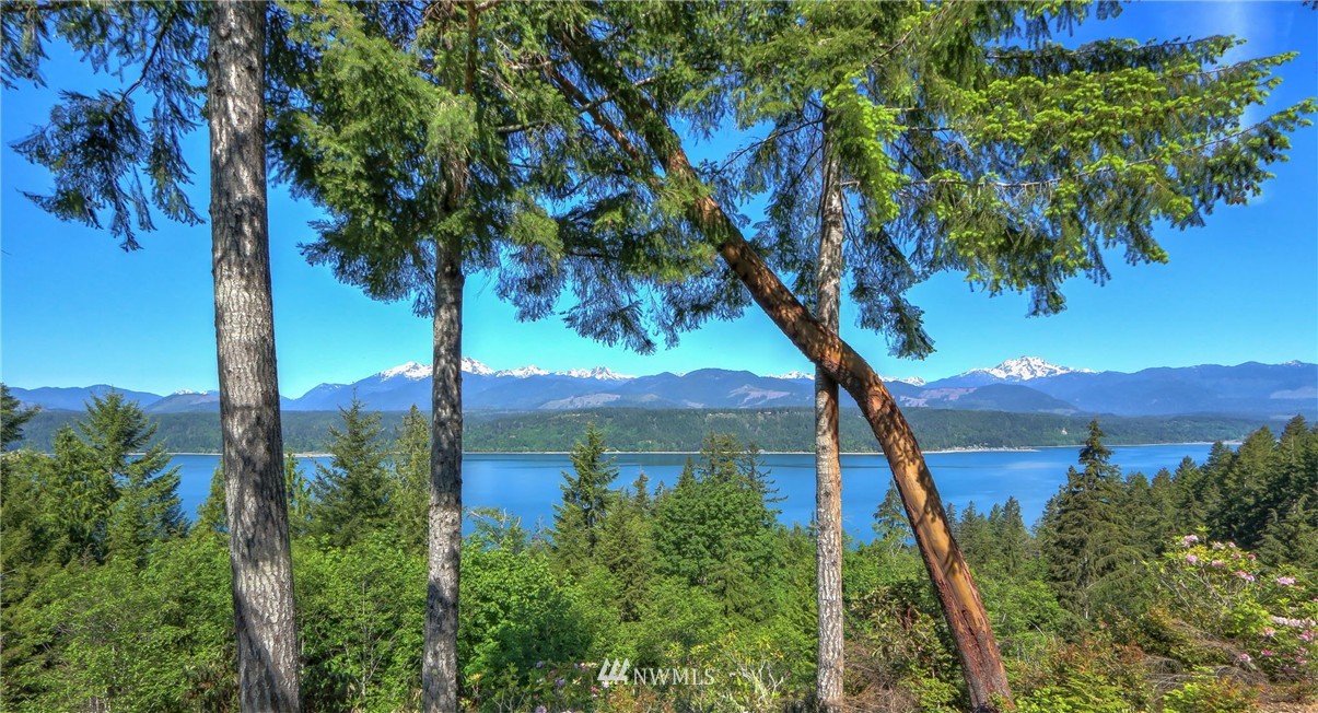 320 Northeast Capstan Rock Road Tahuya, WA 98588 - Photo 22 of 25 Gallery Image 22