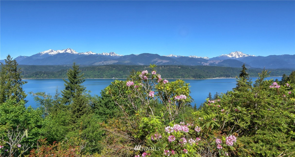 320 Northeast Capstan Rock Road Tahuya, WA 98588 - Photo 4 of 25 Gallery Image 4