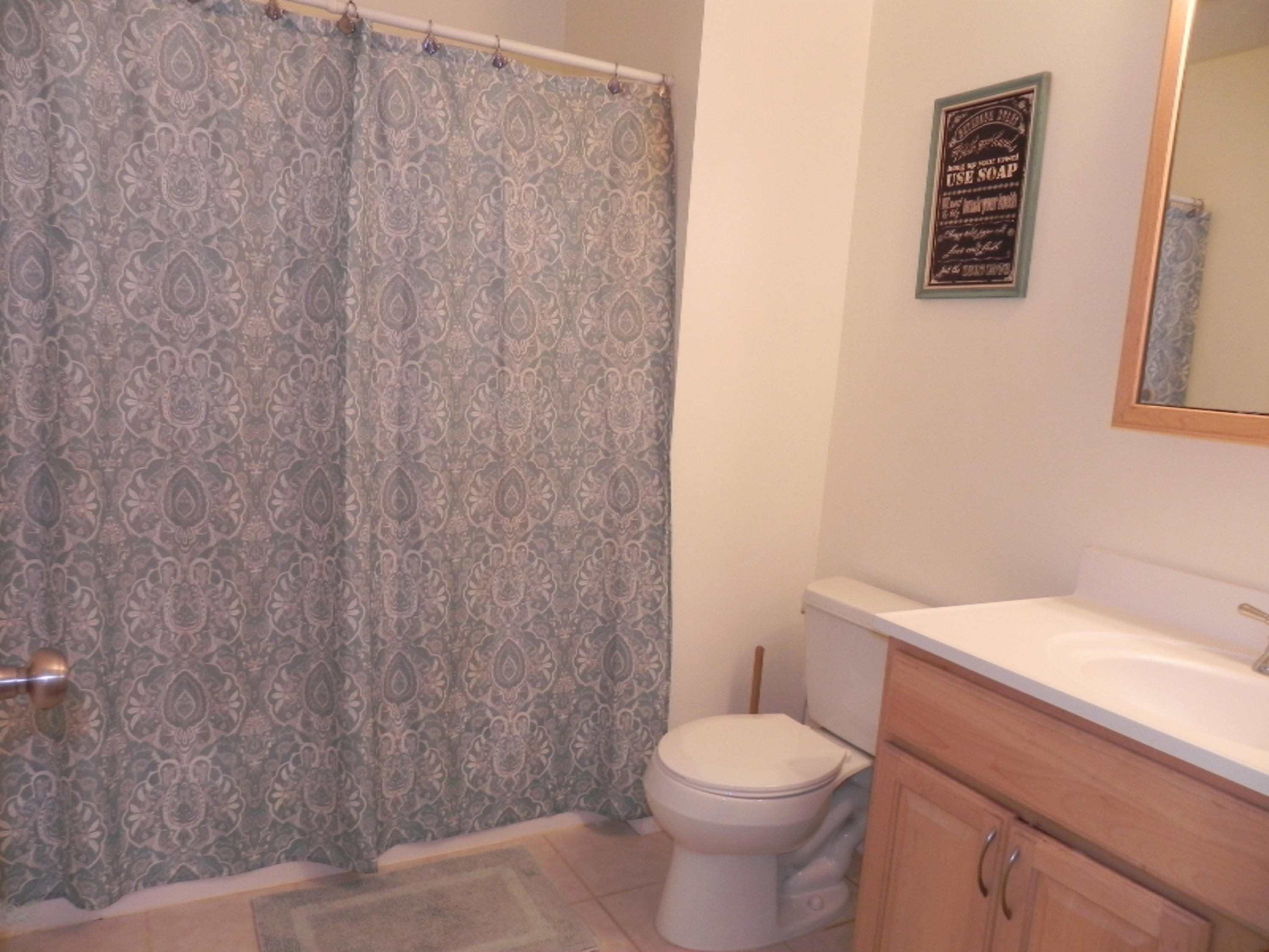 210 West Sherwood Street Decatur, MI 49045 - Photo 11 of 29 DSCN5216