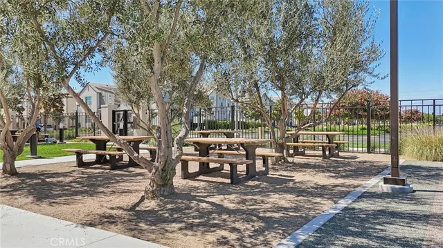 a view of a park with bench and trees