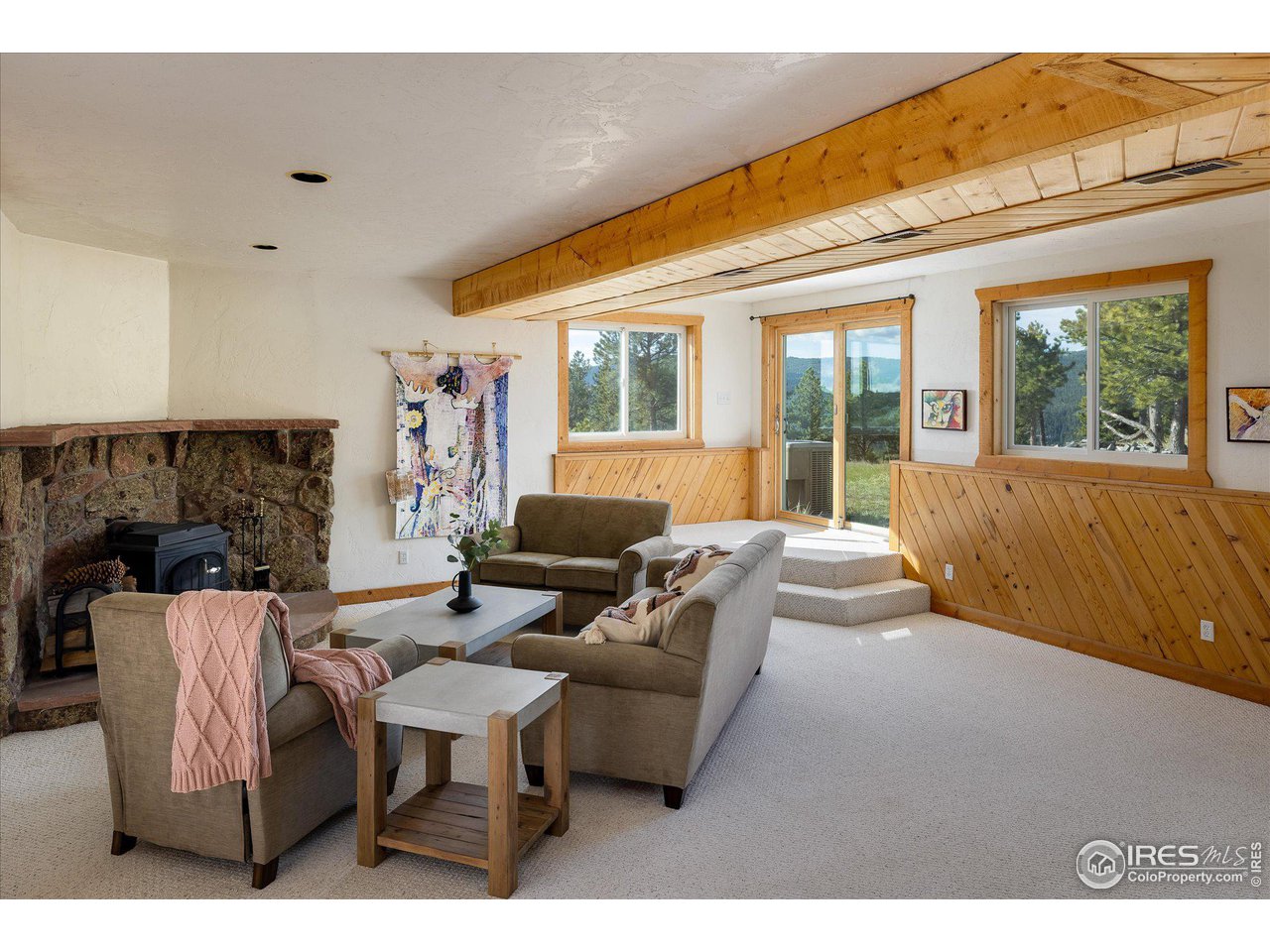 1635 Lost Angel Road Boulder, CO 80302 - Photo 29 of 37 High ceiling and a wood stove in the large walkout basement