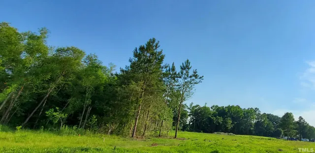 a view of a garden with a tree in the background