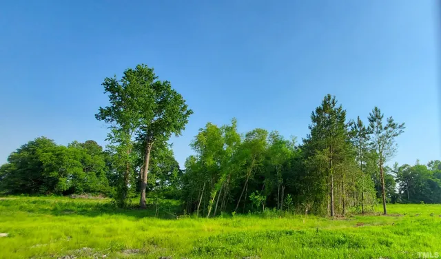 a view of a yard with a tree