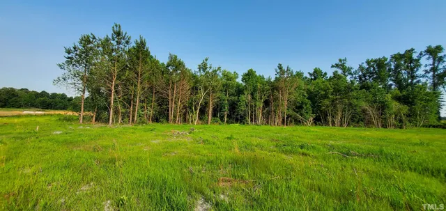 a view of a grassy field with trees in the background
