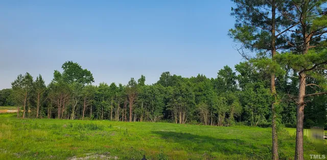 a backyard of a house with lots of green space and trees all around
