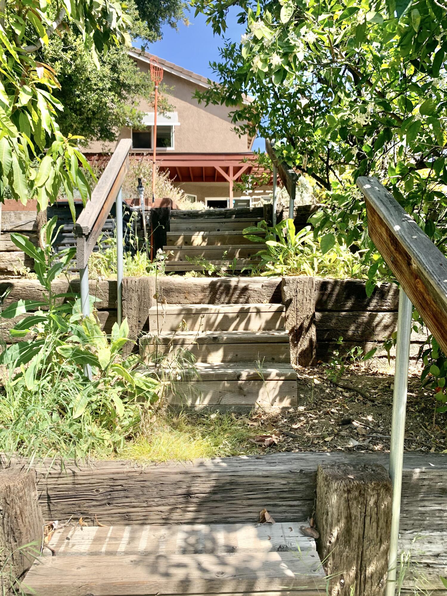 6589 Hawkley Drive Riverside, CA 92506 - Photo 29 of 29 a backyard of a house with lots of green space