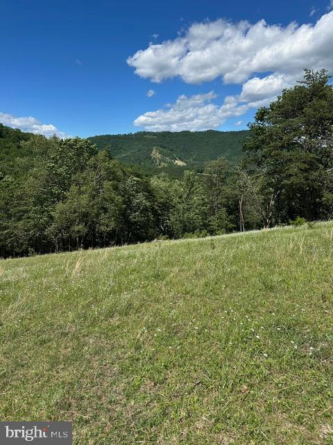 1096 Co Rte 10/2 Franklin, WV 26807 - Photo 4 of 23