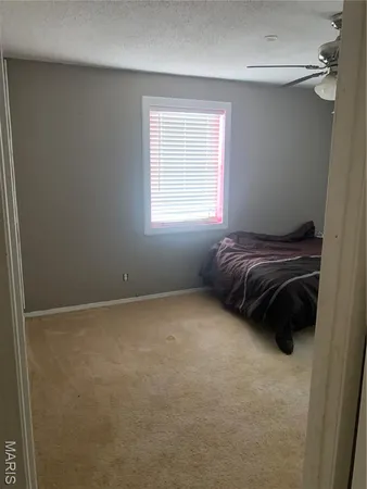 $55,000 | 205 North Maple Street, Bragg City, MO 63827