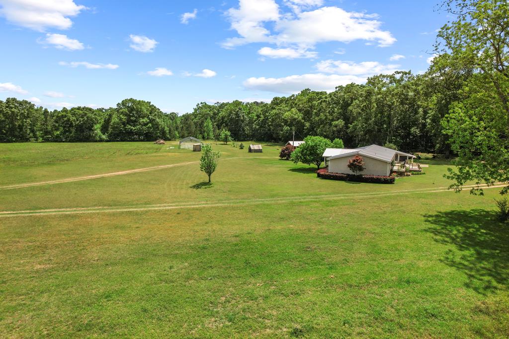 2376 Singletary Road Slocomb, AL 36375 - Photo 64 of 69