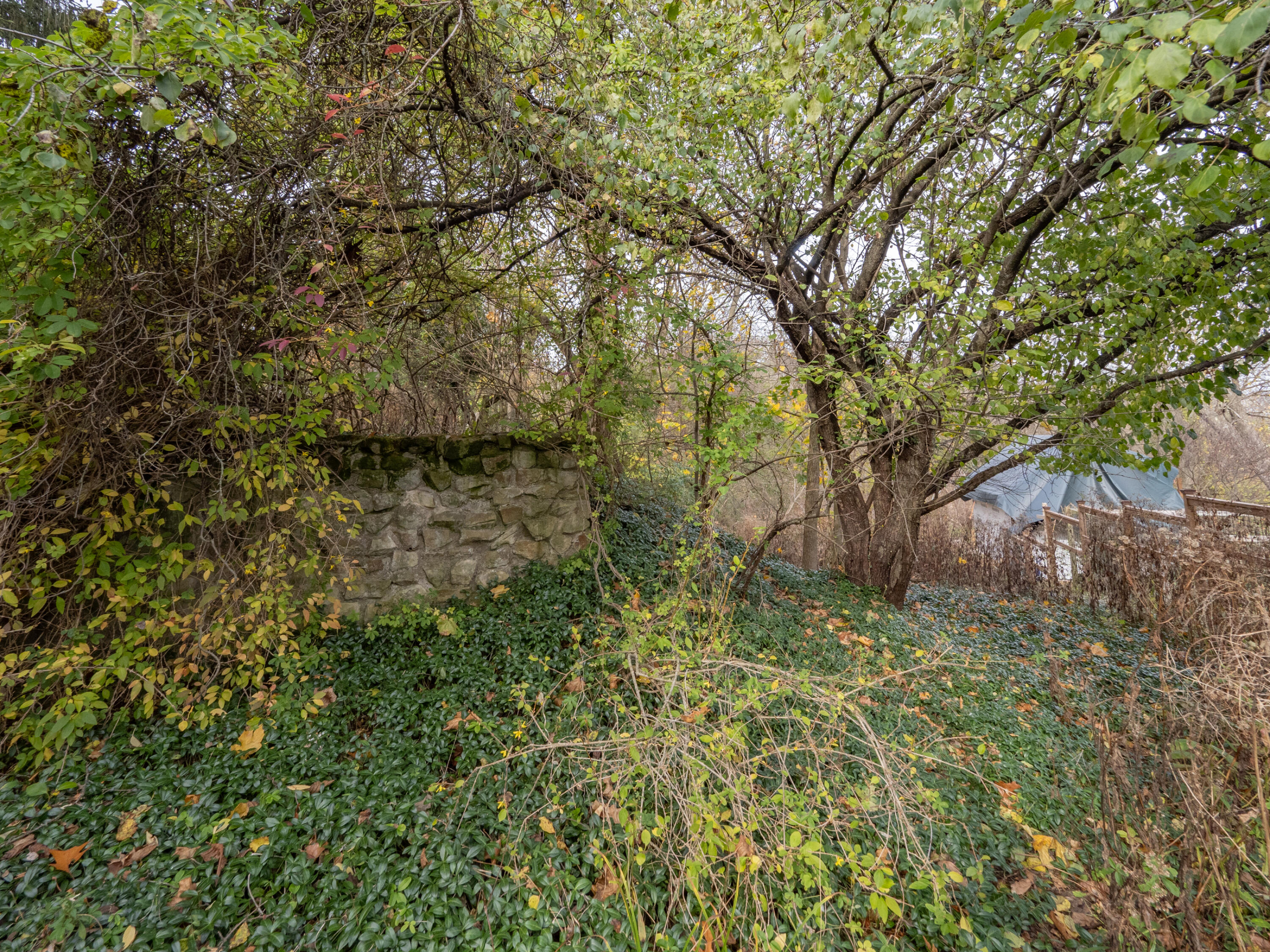 1414 Low Road Kalamazoo, MI 49008 - Photo 23 of 26 1414 Low St-124