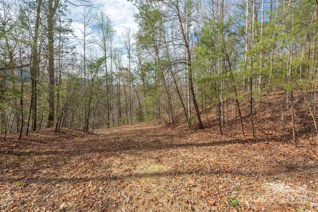$79,000 | 99999 Trillium Lane, Unit 7, Black Mountain, NC 28711
