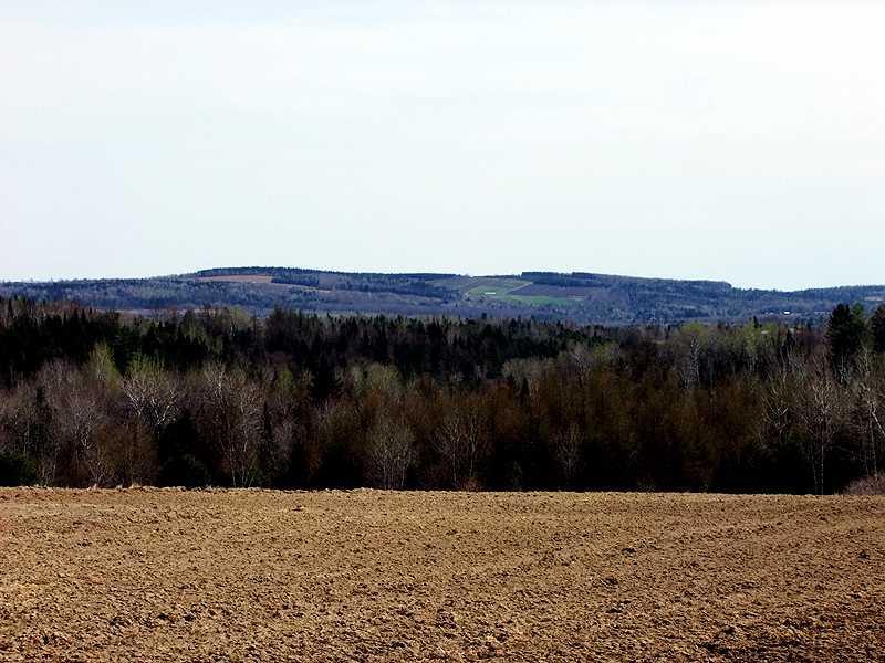 341 Carson Road Littleton, ME 04730 - Photo 7 of 33 Land.