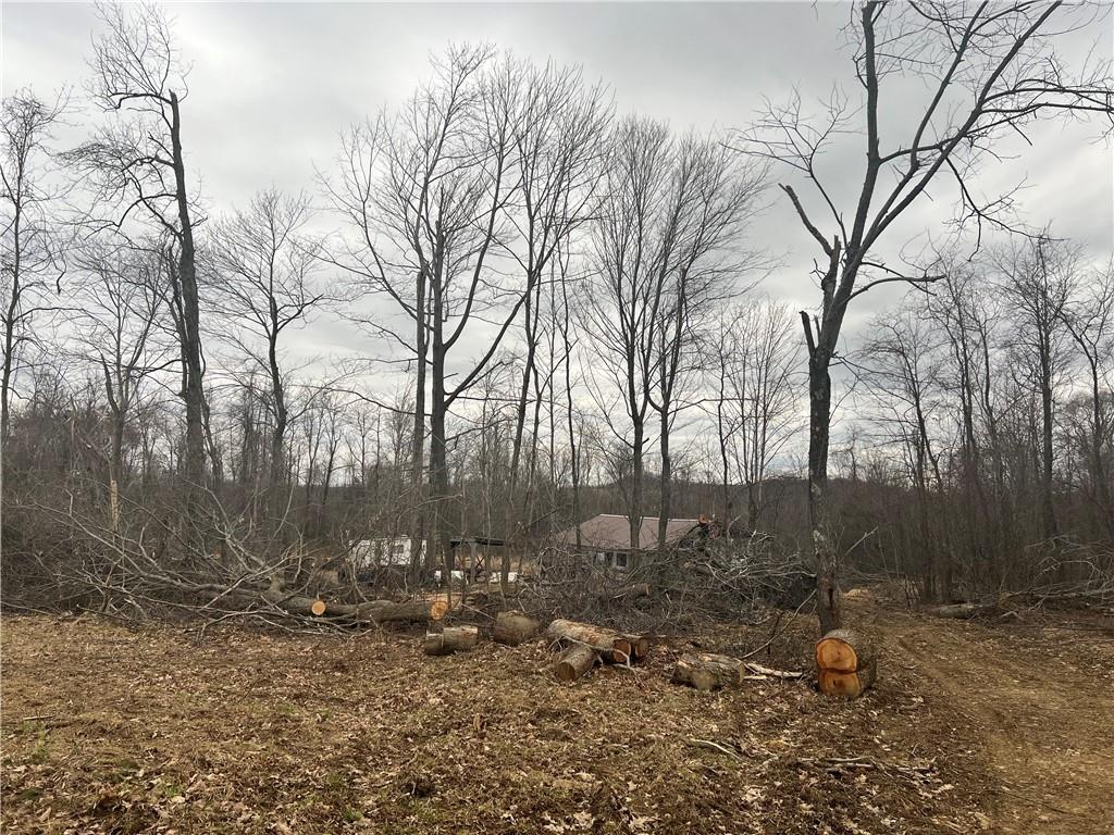 0 Nolt Road Mayport, PA 16240 - Photo 8 of 14 a view of a yard with trees