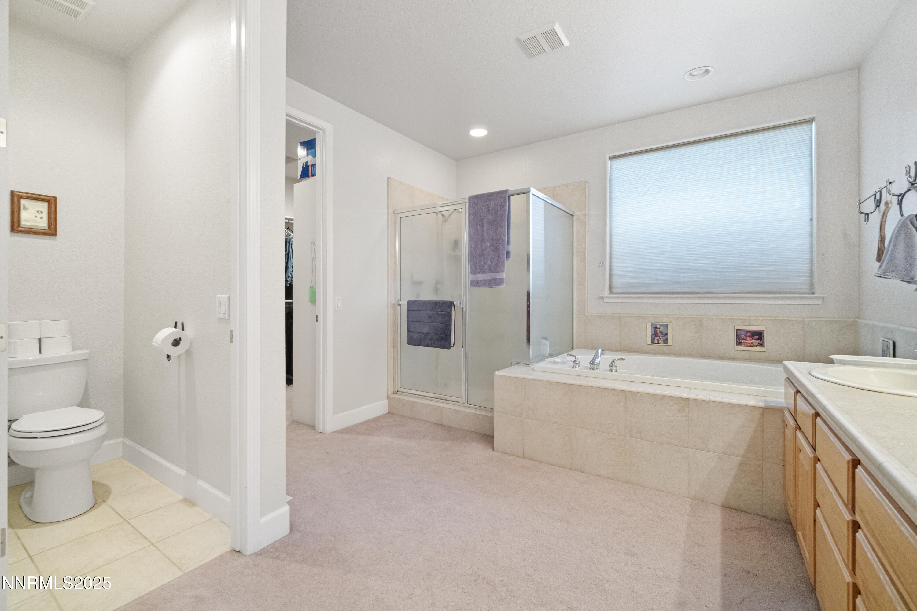 227 Chaparral Drive Smith Valley, NV 89430 - Photo 19 of 34 DSC05110