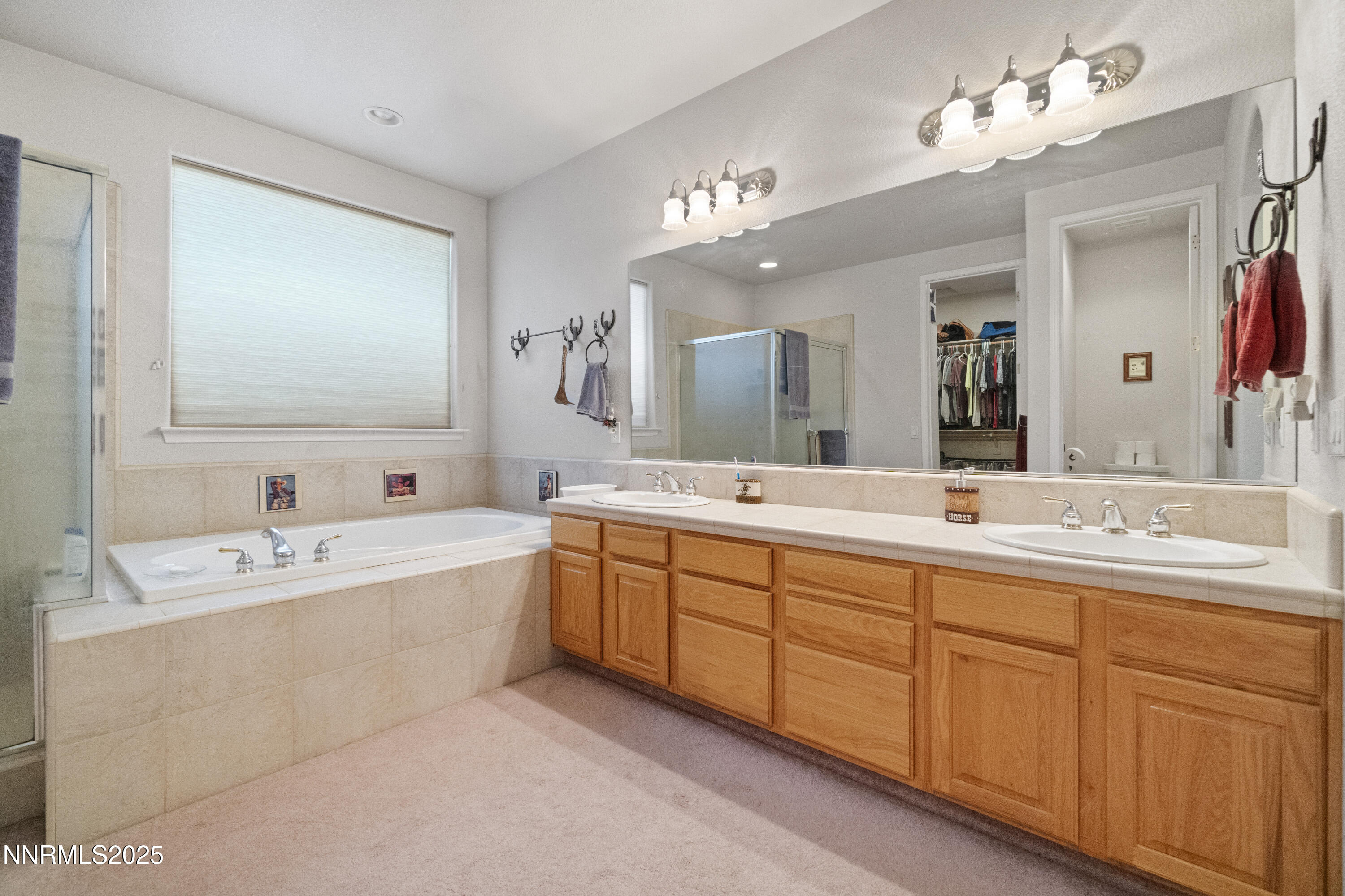 227 Chaparral Drive Smith Valley, NV 89430 - Photo 20 of 34 DSC05115