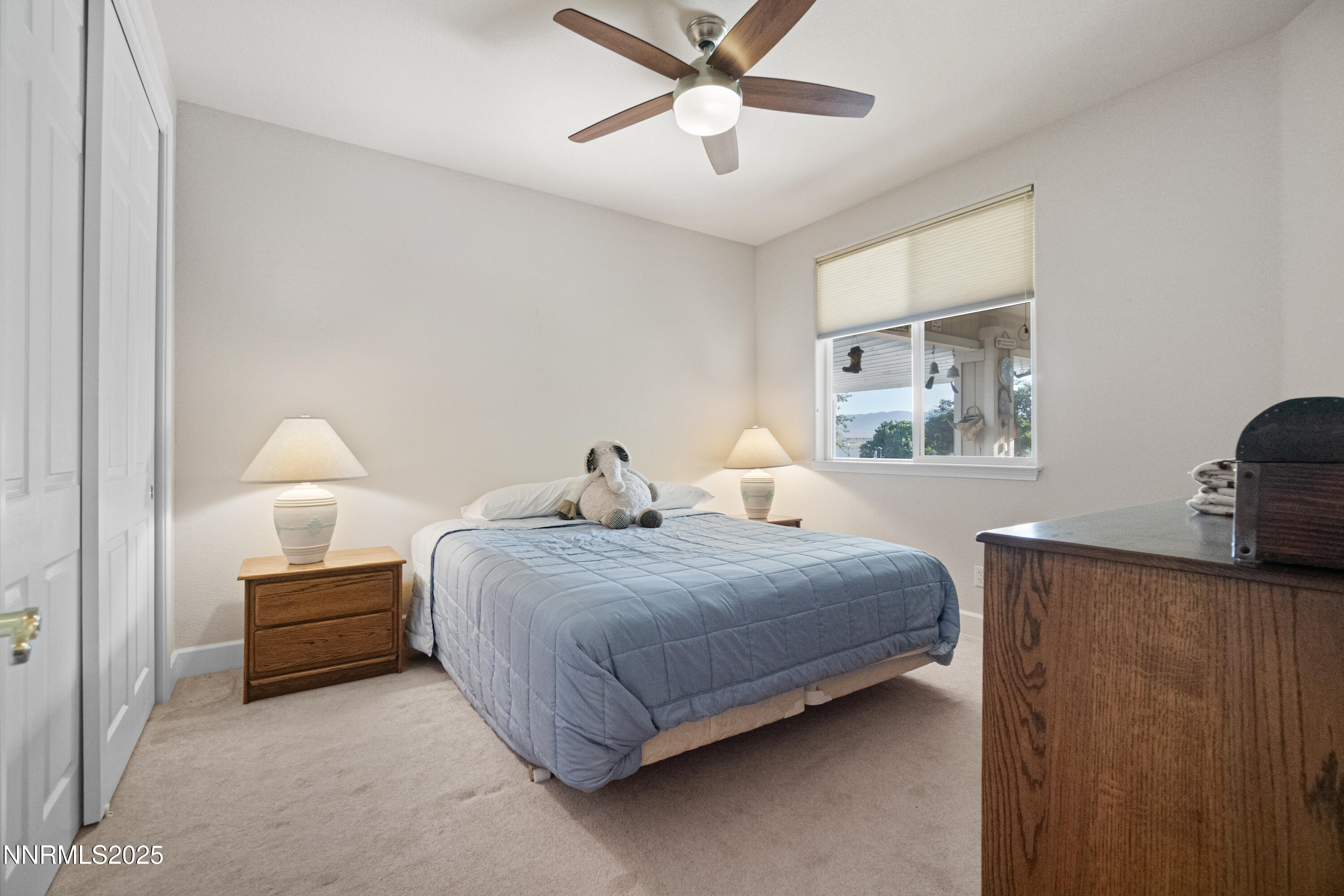 227 Chaparral Drive Smith Valley, NV 89430 - Photo 24 of 34 DSC05040