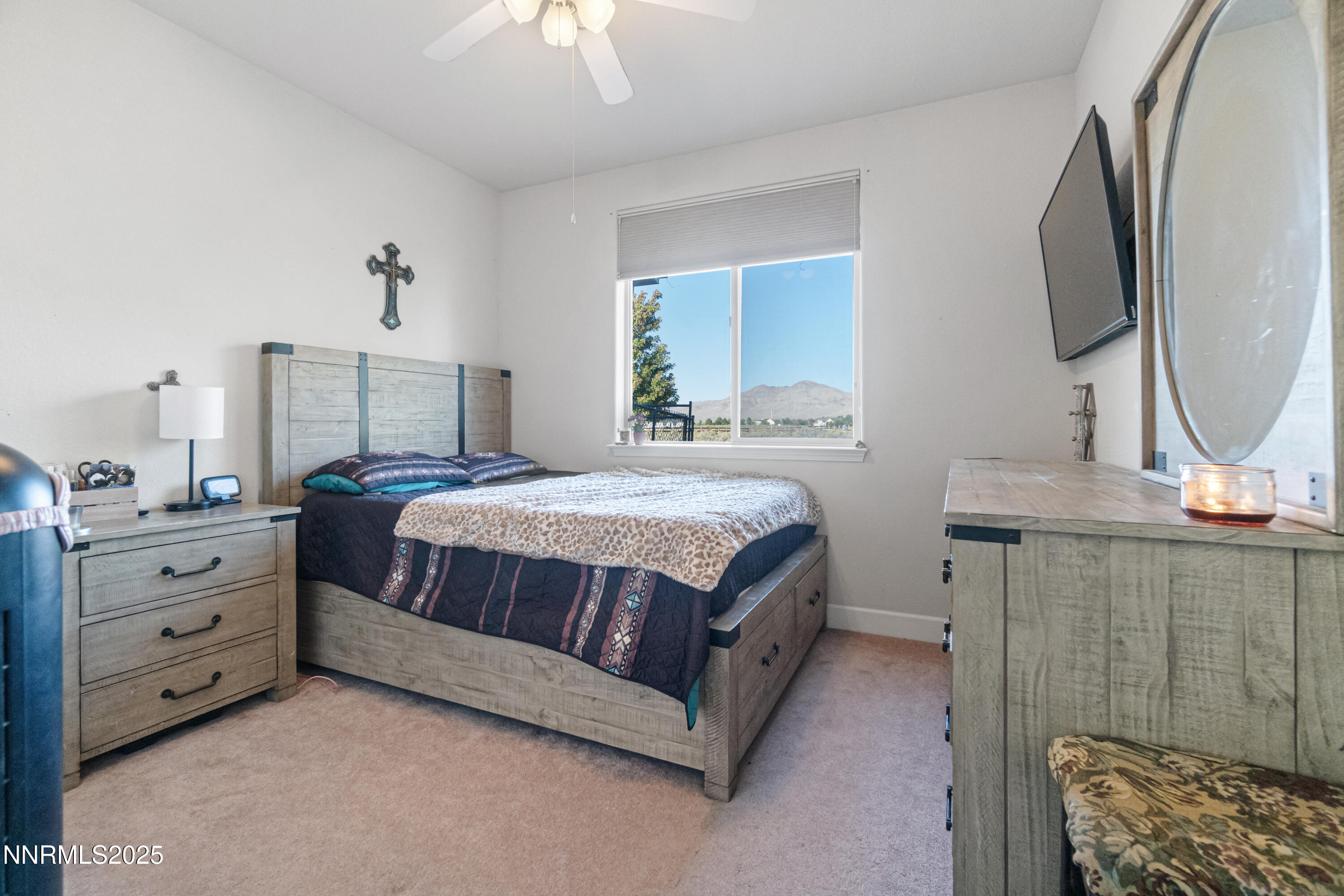 227 Chaparral Drive Smith Valley, NV 89430 - Photo 26 of 34 DSC05085