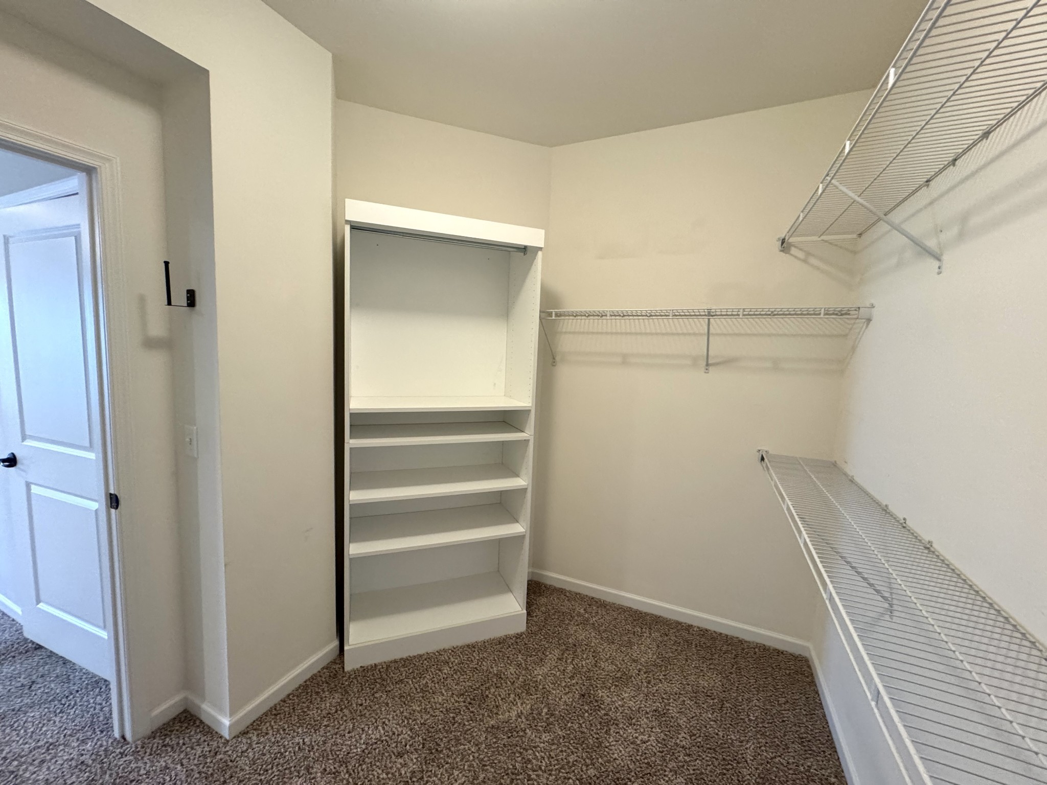 2817 Bluestem Lane Murfreesboro, TN 37128 - Photo 16 of 33 a view of walk in closet