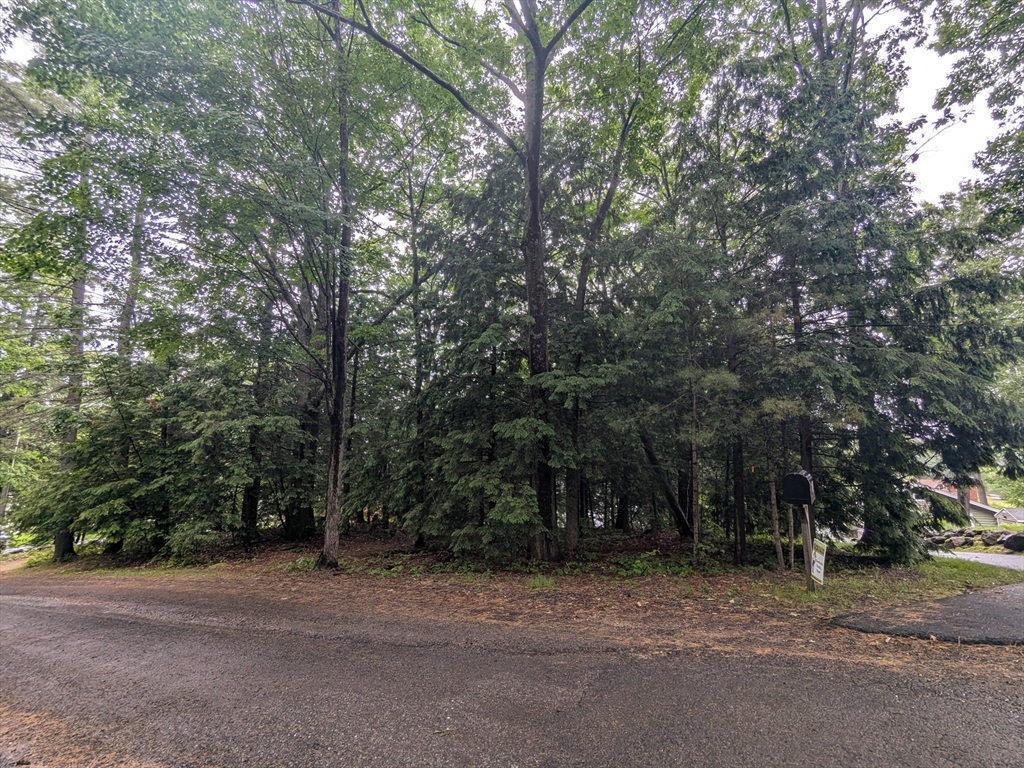0 Winding Cove Road Ashburnham, MA 01430 - Photo 1 of 8 a backyard of a house with lots of trees
