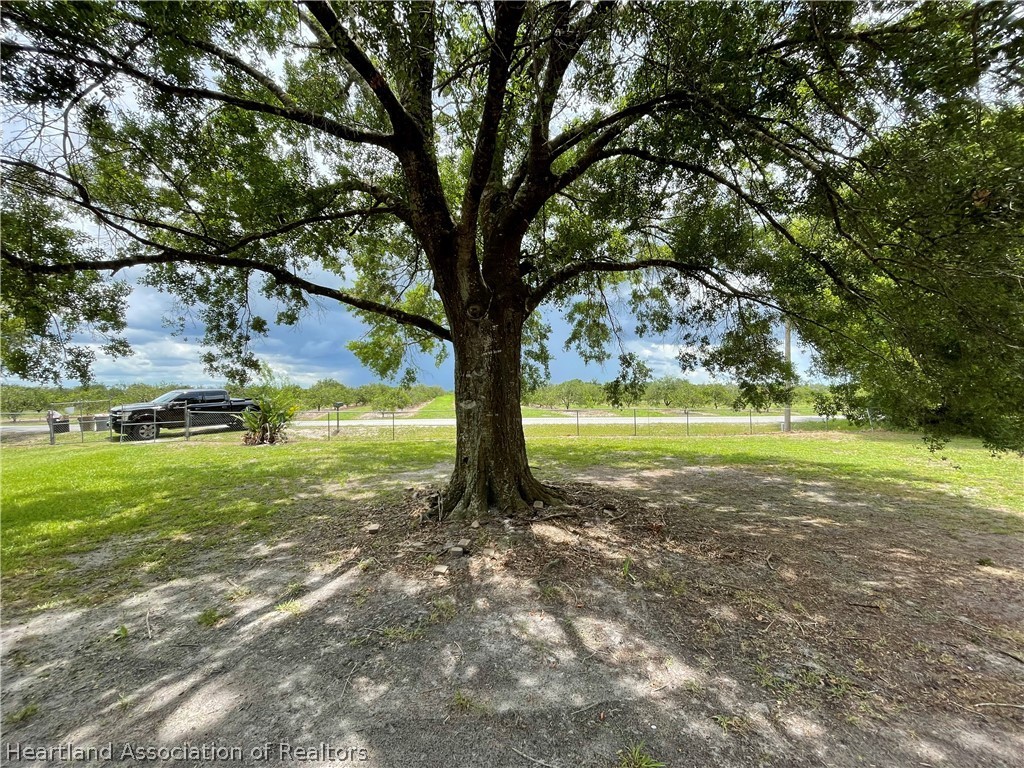 5439 Tom Bryan Road Zolfo Springs, FL 33890 - Photo 3 of 35 Gallery Image 3