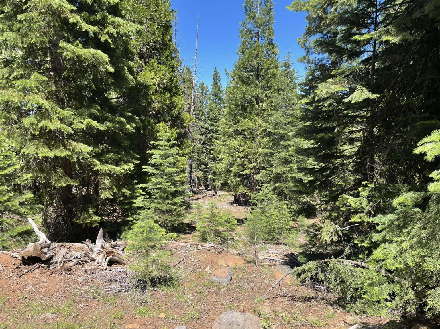 0 Range Road Alturas, CA 96101 - Photo 18 of 39 Hesser.18